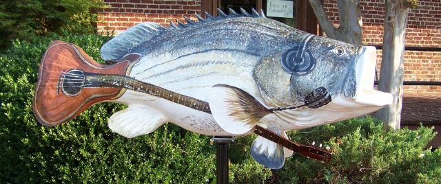 The Roanoke Valley Rocks